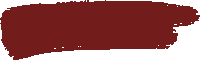 Dent Professional Solution